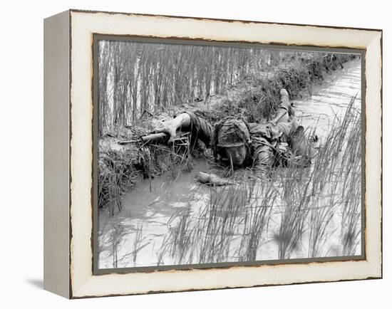 Vietnam War US Troops-Henri Huet-Framed Premier Image Canvas