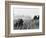 Vietnam War War Zone C-Associated Press-Framed Photographic Print