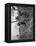 Vietnam War-Associated Press-Framed Premier Image Canvas