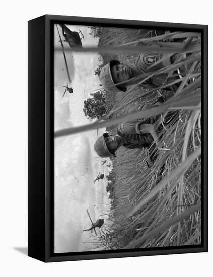 Vietnam War-Associated Press-Framed Premier Image Canvas