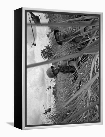 Vietnam War-Associated Press-Framed Premier Image Canvas