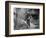 Vietnam War-Horst Faas-Framed Photographic Print