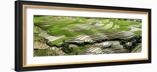 Vietnam.-Tom Norring-Framed Photographic Print