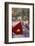 Vietnamese Flag and Street Scene, Hanoi, Vietnam-Peter Adams-Framed Photographic Print