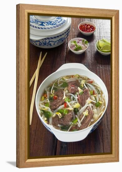 Vietnamese Pho beef broth, Vietnam, Asia-Nico Tondini-Framed Premier Image Canvas