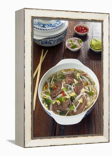 Vietnamese Pho beef broth, Vietnam, Asia-Nico Tondini-Framed Premier Image Canvas