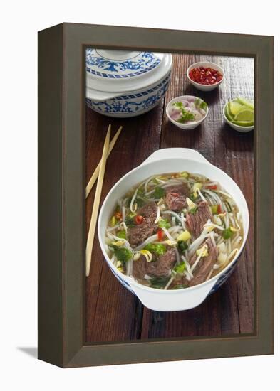 Vietnamese Pho beef broth, Vietnam, Asia-Nico Tondini-Framed Premier Image Canvas