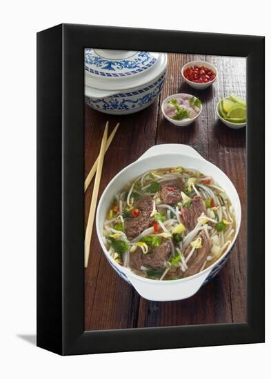 Vietnamese Pho beef broth, Vietnam, Asia-Nico Tondini-Framed Premier Image Canvas