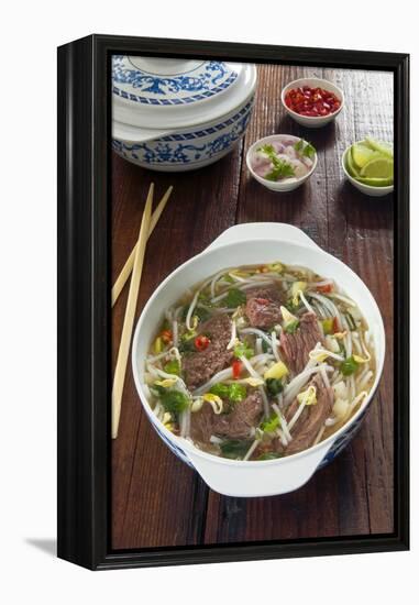 Vietnamese Pho beef broth, Vietnam, Asia-Nico Tondini-Framed Premier Image Canvas