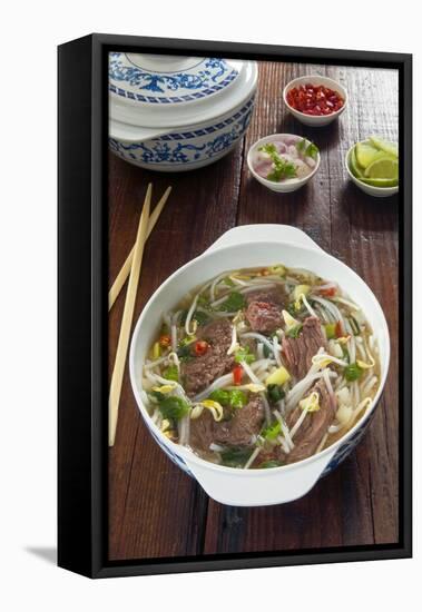 Vietnamese Pho beef broth, Vietnam, Asia-Nico Tondini-Framed Premier Image Canvas