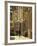 Vieux Lille, Lille, Flanders, Nord Pas De Calais, France, Europe-David Hughes-Framed Photographic Print