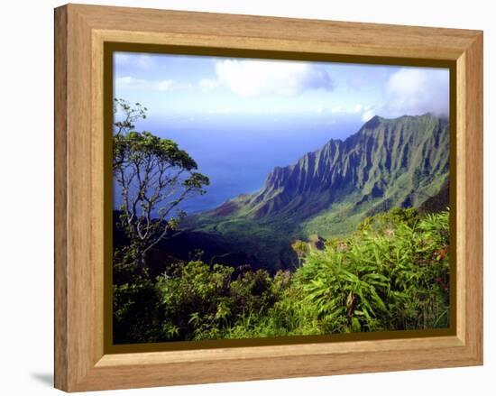 View Above the Na Pali Coast, Kauai, Hawaii, USA-Christopher Talbot Frank-Framed Premier Image Canvas