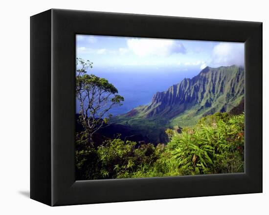 View Above the Na Pali Coast, Kauai, Hawaii, USA-Christopher Talbot Frank-Framed Premier Image Canvas