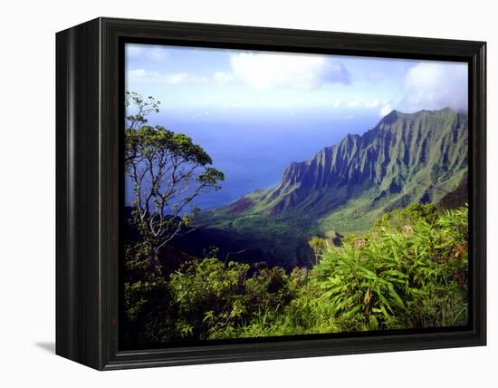 View Above the Na Pali Coast, Kauai, Hawaii, USA-Christopher Talbot Frank-Framed Premier Image Canvas