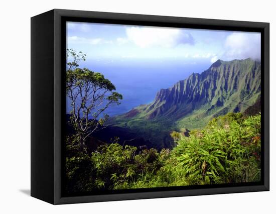 View Above the Na Pali Coast, Kauai, Hawaii, USA-Christopher Talbot Frank-Framed Premier Image Canvas