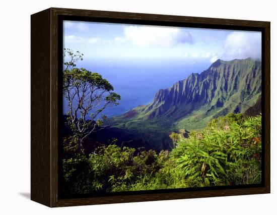 View Above the Na Pali Coast, Kauai, Hawaii, USA-Christopher Talbot Frank-Framed Premier Image Canvas