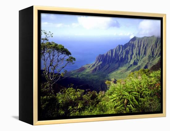 View Above the Na Pali Coast, Kauai, Hawaii, USA-Christopher Talbot Frank-Framed Premier Image Canvas