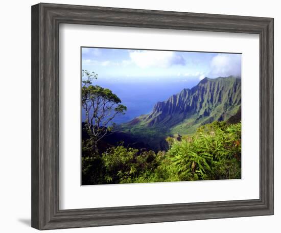 View Above the Na Pali Coast, Kauai, Hawaii, USA-Christopher Talbot Frank-Framed Photographic Print