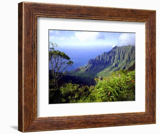 View Above the Na Pali Coast, Kauai, Hawaii, USA-Christopher Talbot Frank-Framed Photographic Print