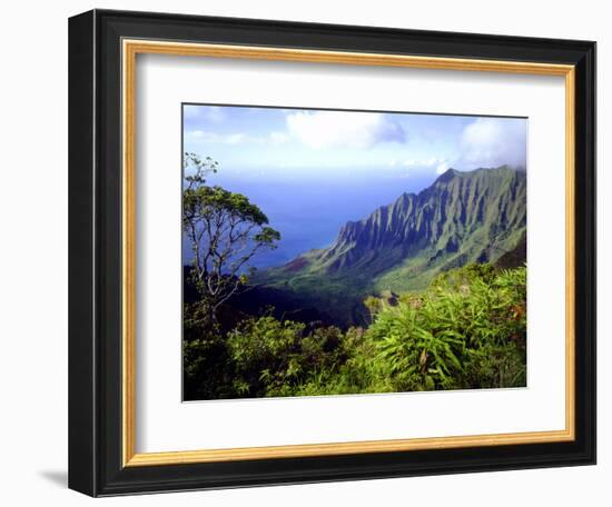 View Above the Na Pali Coast, Kauai, Hawaii, USA-Christopher Talbot Frank-Framed Photographic Print