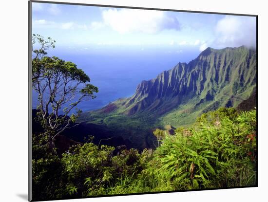 View Above the Na Pali Coast, Kauai, Hawaii, USA-Christopher Talbot Frank-Mounted Photographic Print