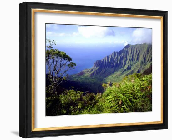 View Above the Na Pali Coast, Kauai, Hawaii, USA-Christopher Talbot Frank-Framed Photographic Print