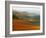 View across Agricultural Landscape at Sunrise, Volterra, Tuscany, Italy, Europe-Tomlinson Ruth-Framed Photographic Print