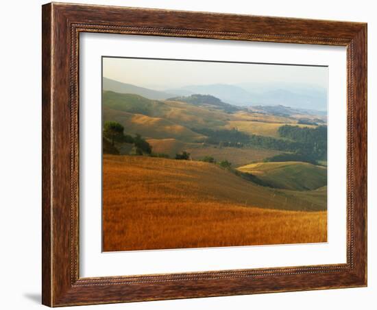 View across Agricultural Landscape at Sunrise, Volterra, Tuscany, Italy, Europe-Tomlinson Ruth-Framed Photographic Print