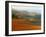 View across Agricultural Landscape at Sunrise, Volterra, Tuscany, Italy, Europe-Tomlinson Ruth-Framed Photographic Print