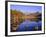 View Across Blea Tarn to Langdale Pikes, Lake District, Cumbria, England, UK Autumn-Ruth Tomlinson-Framed Photographic Print