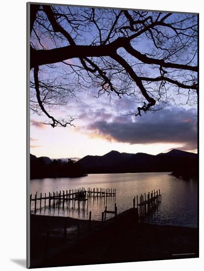 View Across Derwent Water from Lakeside Path at Dusk, Cumbria, England-Ruth Tomlinson-Mounted Photographic Print