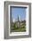 View across Field to Typical Houses and Medieval Towers, San Gimignano, Siena-Ruth Tomlinson-Framed Photographic Print