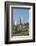 View across Field to Typical Houses and Medieval Towers, San Gimignano, Siena-Ruth Tomlinson-Framed Photographic Print