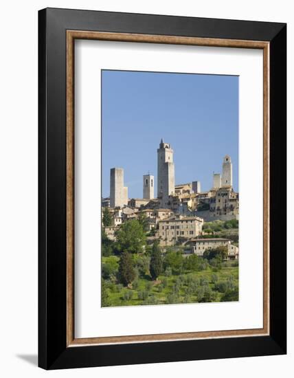 View across Field to Typical Houses and Medieval Towers, San Gimignano, Siena-Ruth Tomlinson-Framed Photographic Print