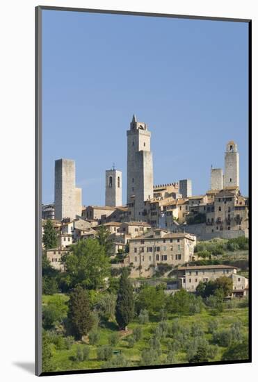 View across Field to Typical Houses and Medieval Towers, San Gimignano, Siena-Ruth Tomlinson-Mounted Photographic Print
