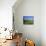 View Across Fields to Corfe Castle, Dorset, England, UK, Europe-Ruth Tomlinson-Photographic Print displayed on a wall