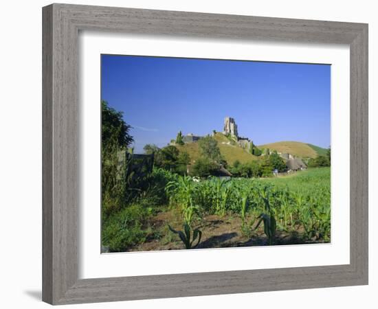 View Across Fields to Corfe Castle, Dorset, England, UK, Europe-Ruth Tomlinson-Framed Photographic Print