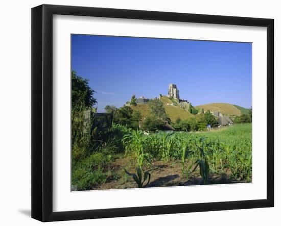 View Across Fields to Corfe Castle, Dorset, England, UK, Europe-Ruth Tomlinson-Framed Photographic Print