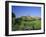 View Across Fields to Corfe Castle, Dorset, England, UK, Europe-Ruth Tomlinson-Framed Photographic Print