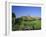 View Across Fields to Corfe Castle, Dorset, England, UK, Europe-Ruth Tomlinson-Framed Photographic Print