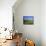 View Across Fields to Corfe Castle, Dorset, England, UK, Europe-Ruth Tomlinson-Mounted Photographic Print displayed on a wall