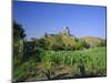 View Across Fields to Corfe Castle, Dorset, England, UK, Europe-Ruth Tomlinson-Mounted Photographic Print