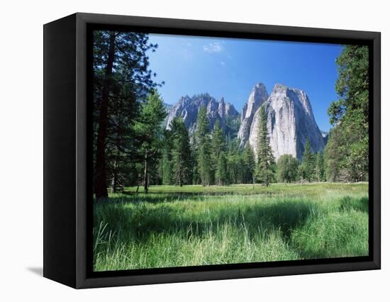 View Across Meadows to Cathedral Rocks, Yosemite National Park, Unesco World Heritage Site, USA-Ruth Tomlinson-Framed Premier Image Canvas