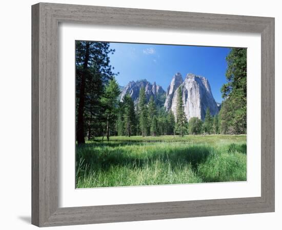 View Across Meadows to Cathedral Rocks, Yosemite National Park, Unesco World Heritage Site, USA-Ruth Tomlinson-Framed Photographic Print