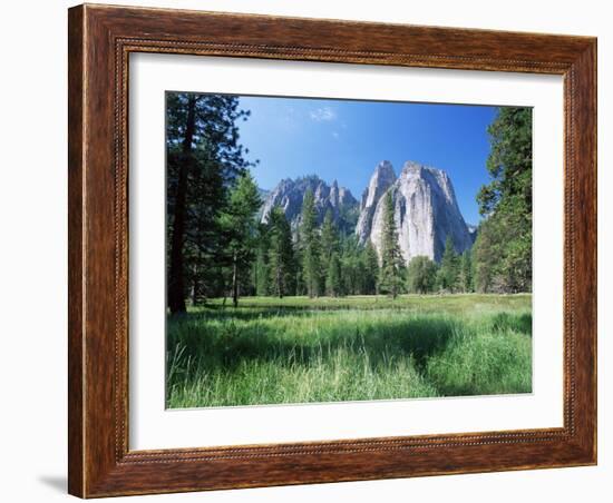 View Across Meadows to Cathedral Rocks, Yosemite National Park, Unesco World Heritage Site, USA-Ruth Tomlinson-Framed Photographic Print