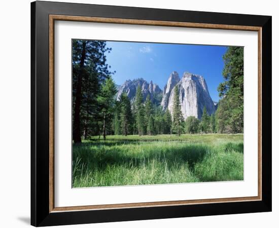 View Across Meadows to Cathedral Rocks, Yosemite National Park, Unesco World Heritage Site, USA-Ruth Tomlinson-Framed Photographic Print