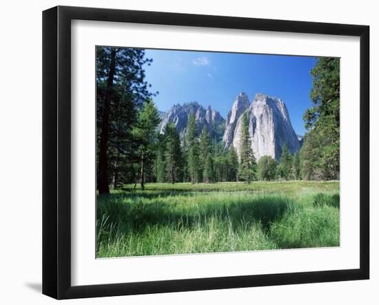 View Across Meadows to Cathedral Rocks, Yosemite National Park, Unesco World Heritage Site, USA-Ruth Tomlinson-Framed Photographic Print