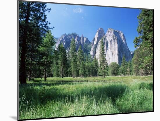 View Across Meadows to Cathedral Rocks, Yosemite National Park, Unesco World Heritage Site, USA-Ruth Tomlinson-Mounted Photographic Print