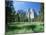 View Across Meadows to Cathedral Rocks, Yosemite National Park, Unesco World Heritage Site, USA-Ruth Tomlinson-Mounted Photographic Print