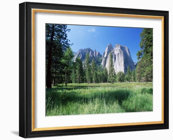 View Across Meadows to Cathedral Rocks, Yosemite National Park, Unesco World Heritage Site, USA-Ruth Tomlinson-Framed Photographic Print